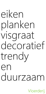 Visgraat parket showroom in Amsterdam